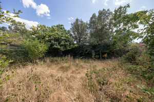 Rear Garden- click for photo gallery